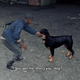 Image for article titled Tips For Playing Watch Dogs 2